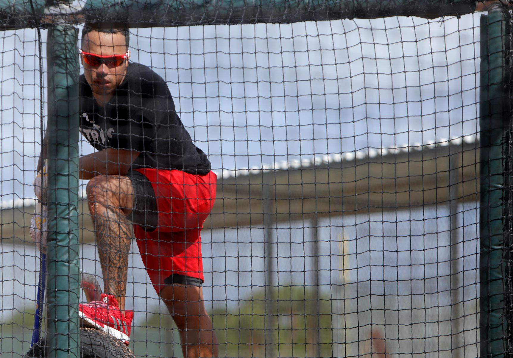 Cardinals spring training